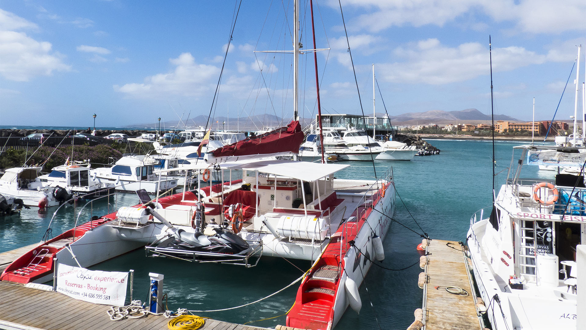 Bootsexkursionen auf Fuerteventura.